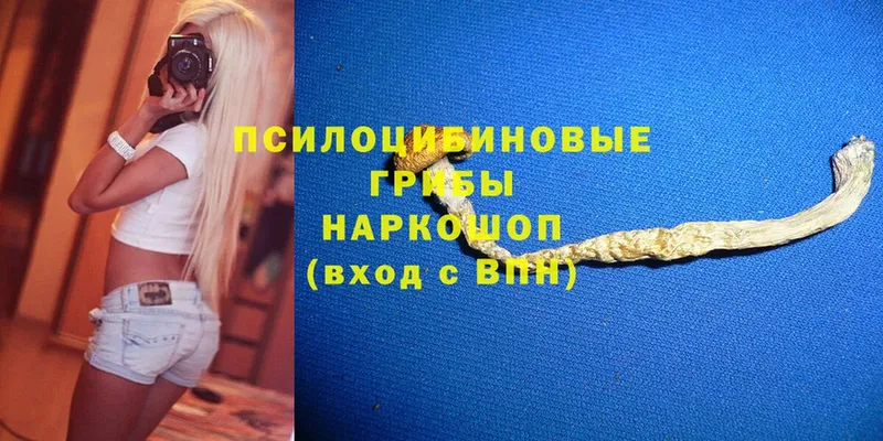 купить закладку  OMG маркетплейс  Галлюциногенные грибы Psilocybe  Находка 